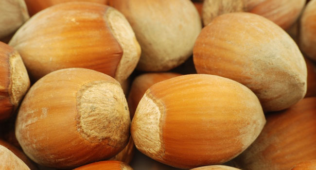 Benefits of Hazelnuts