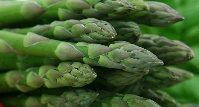 Benefits of Asparagus